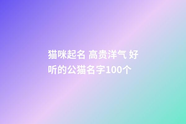 猫咪起名 高贵洋气 好听的公猫名字100个